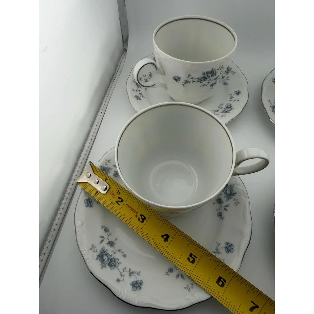 Johann Haviland Bavaria Germany Cup and Saucer Set Blue Floral‎ Trim